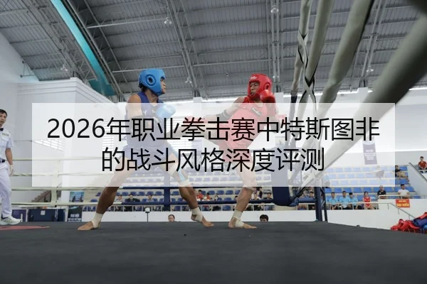 2026年职业拳击赛中特斯图非的战斗风格深度评测