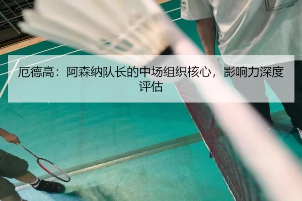 e-de-gao-a-sen-na-dui-zhang-de-zhong-chang-zu-zhi-he-xin-ying-xiang-li-shen-du-ping-gu-3-241.jpg