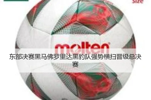 东部决赛黑马佛罗里达黑豹队强势横扫晋级总决赛
